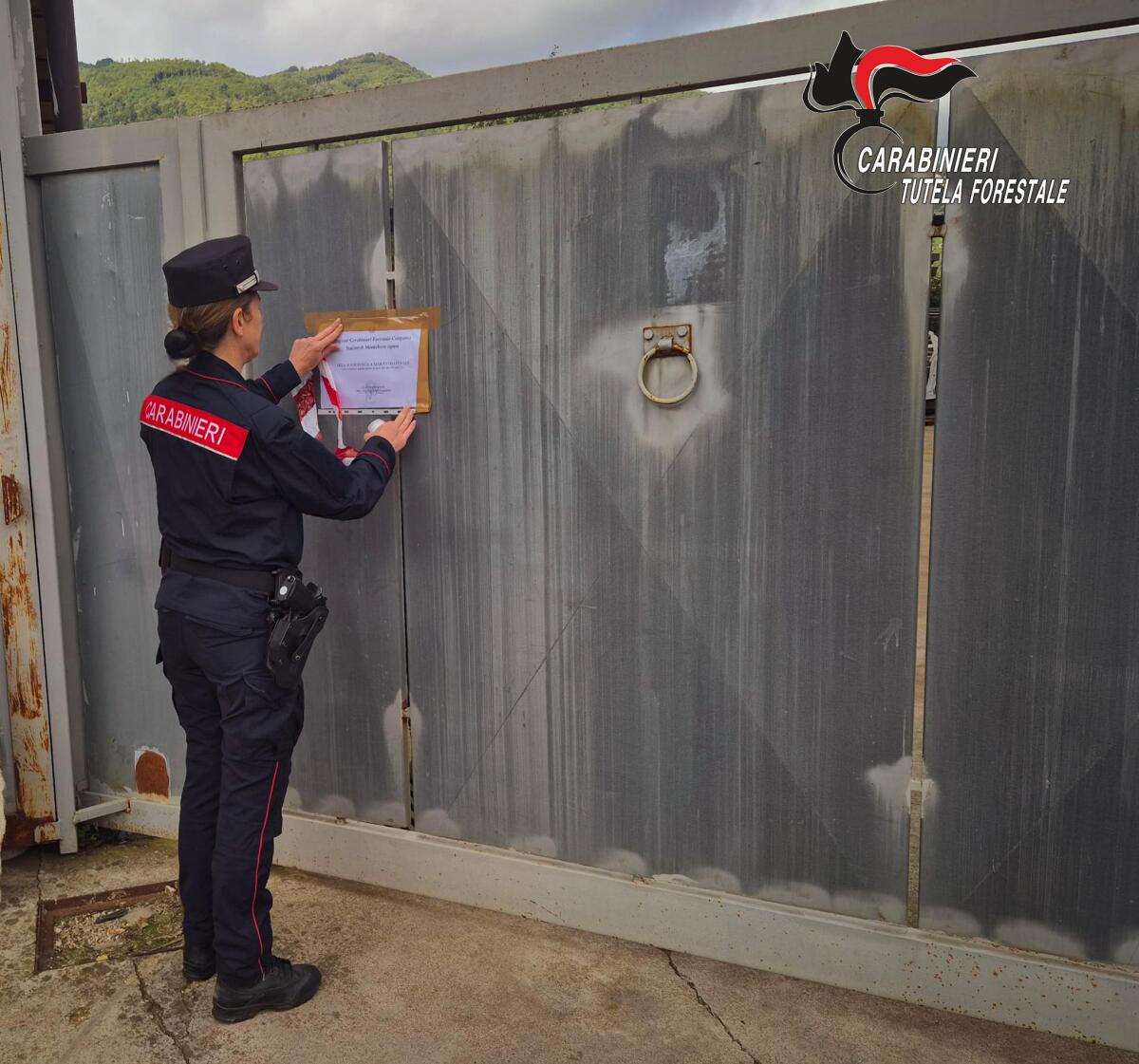 Avellino. Reati ambientali, denunciate due persone - 