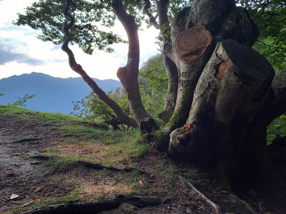 Montella, il belvedere della vergogna. - 