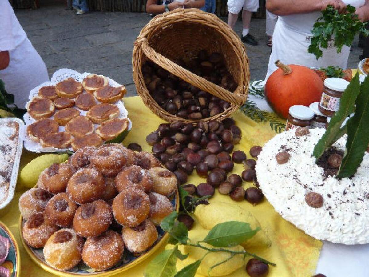 Cervinara. Elevare ulteriormente livello qualità della Sagra della Castagna, garantire la rintracciabilità dei prodotti alimentari. - 