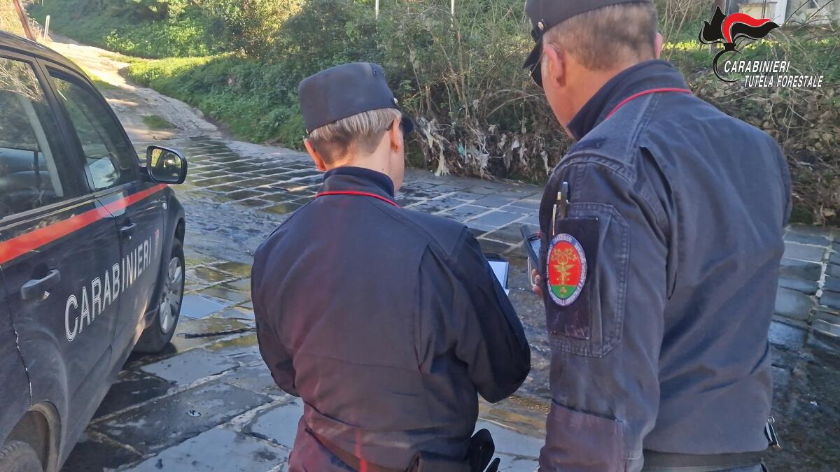 Carabinieri denunciano 7 persone per reati ambientali. - 