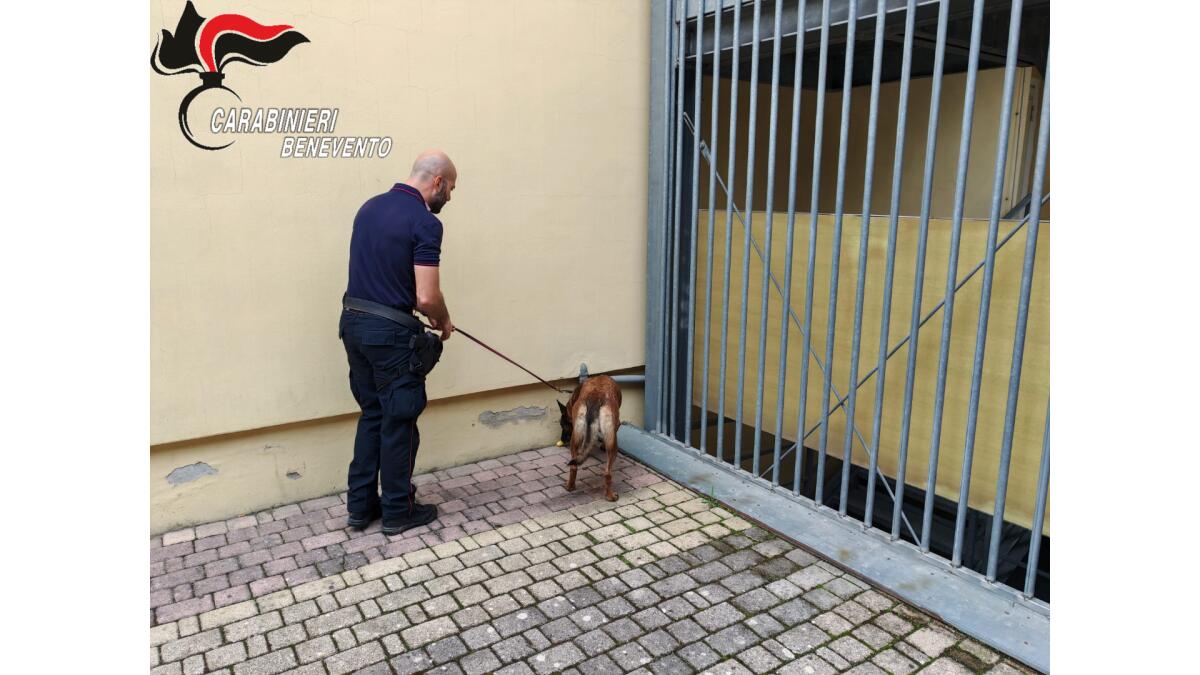 Controlli davanti alle scuole, denunciati 5 minori - 