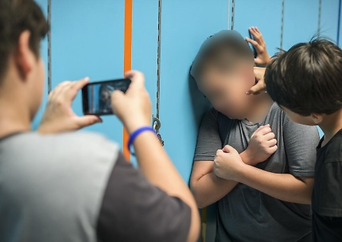 Il 38% degli alunni disabili sono oggetto di episodi di bullismo. - 