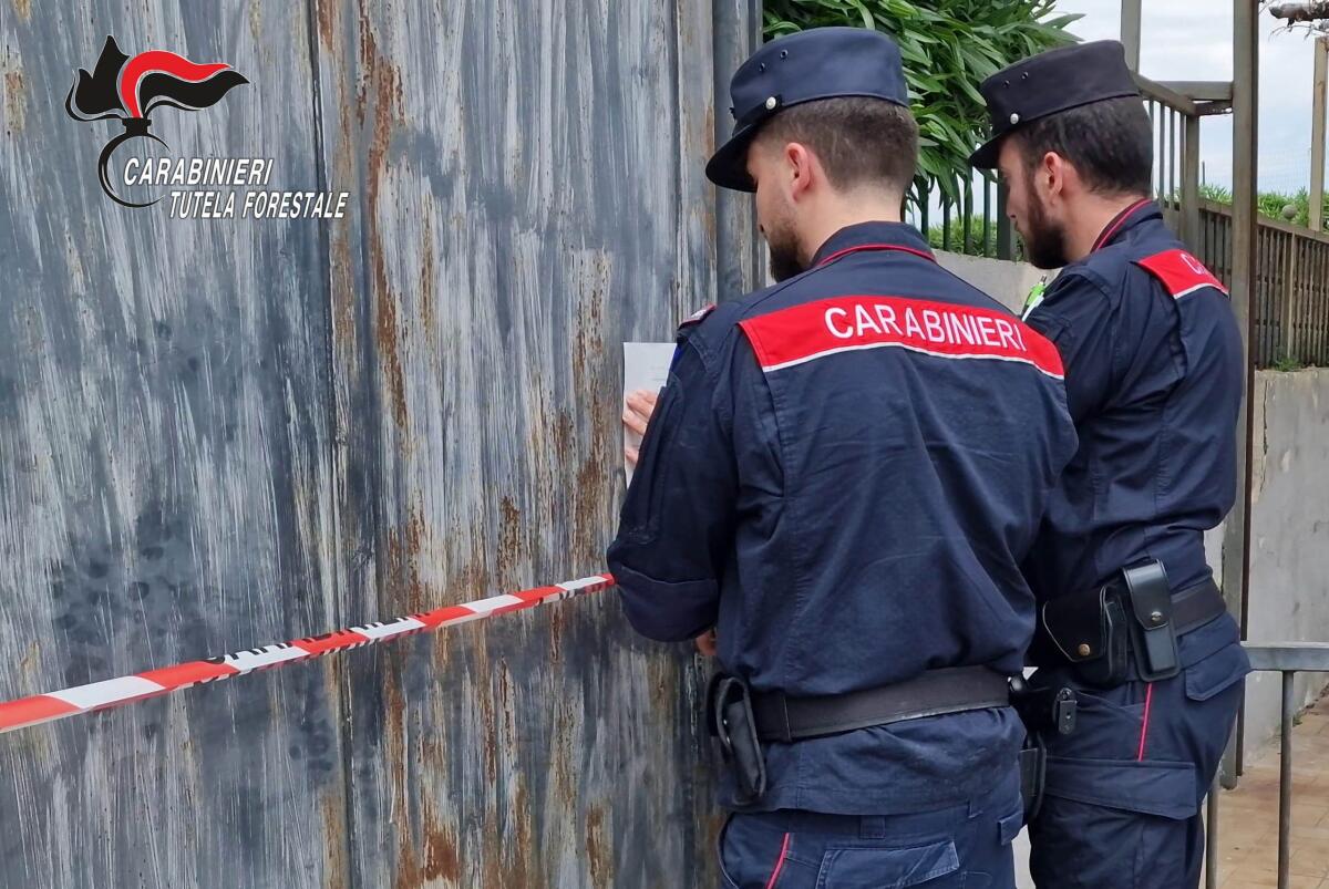 54enne denunciato per gestione e combustione illecita di rifiuti. - 