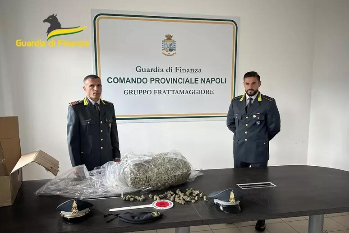 Sequestrati 5,7 kg di marijuana, avrebbero fruttato 60 mila euro. - 