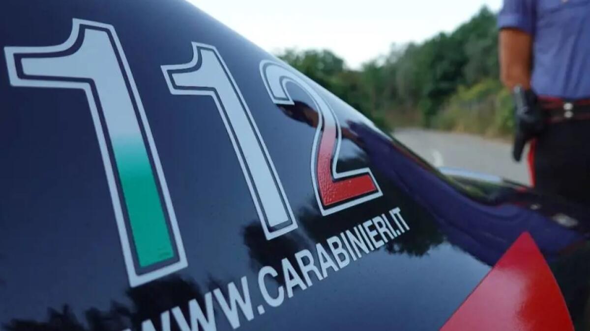 Riscontrate dai Carabinieri e dall'Asl carenze strutturali in un canile di Luogosano. - 