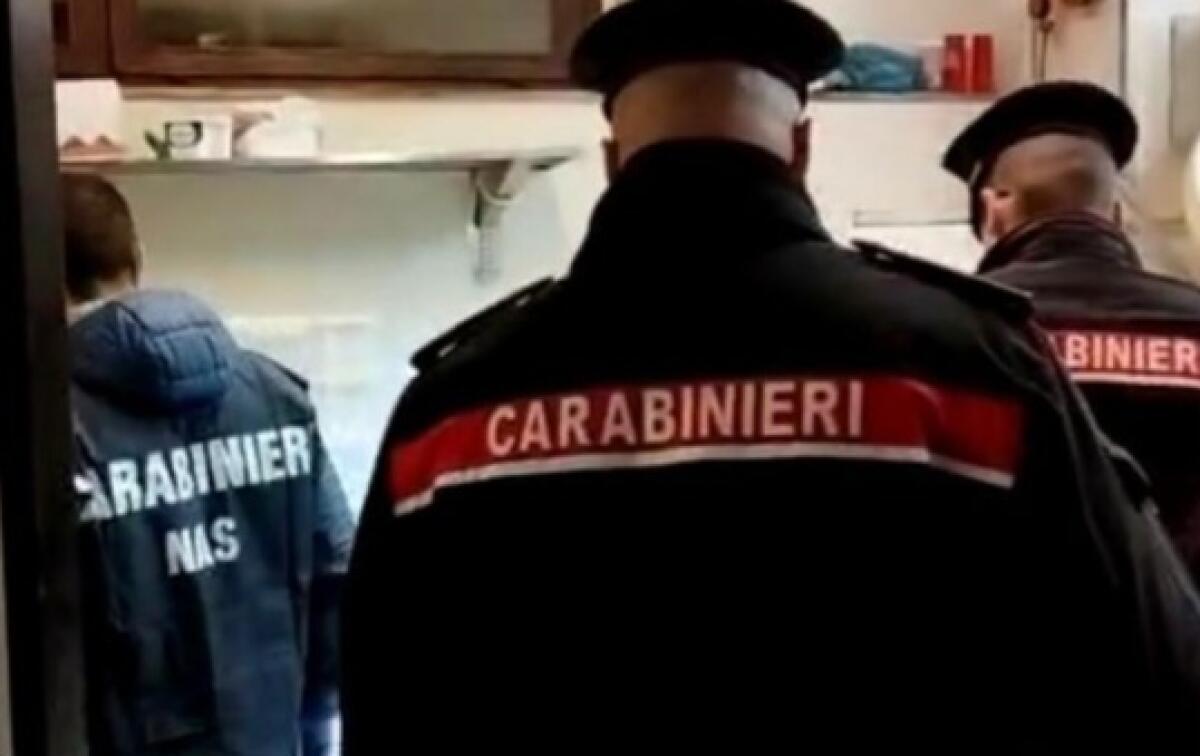 Sequestrate in un salumifico del mandamento 15 tonnellate di carne suina. - 