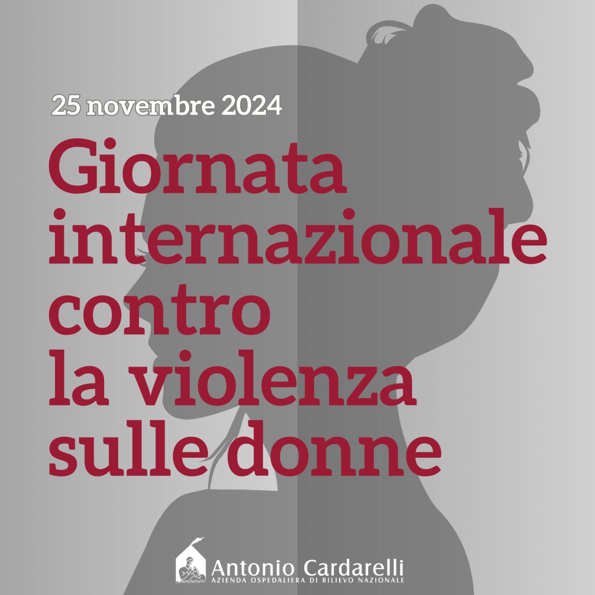 Cardarelli, al Percorso Rosa del Pronto Soccorso registrati 3 accessi a settimana nel 2024 per violenza di genere. - 