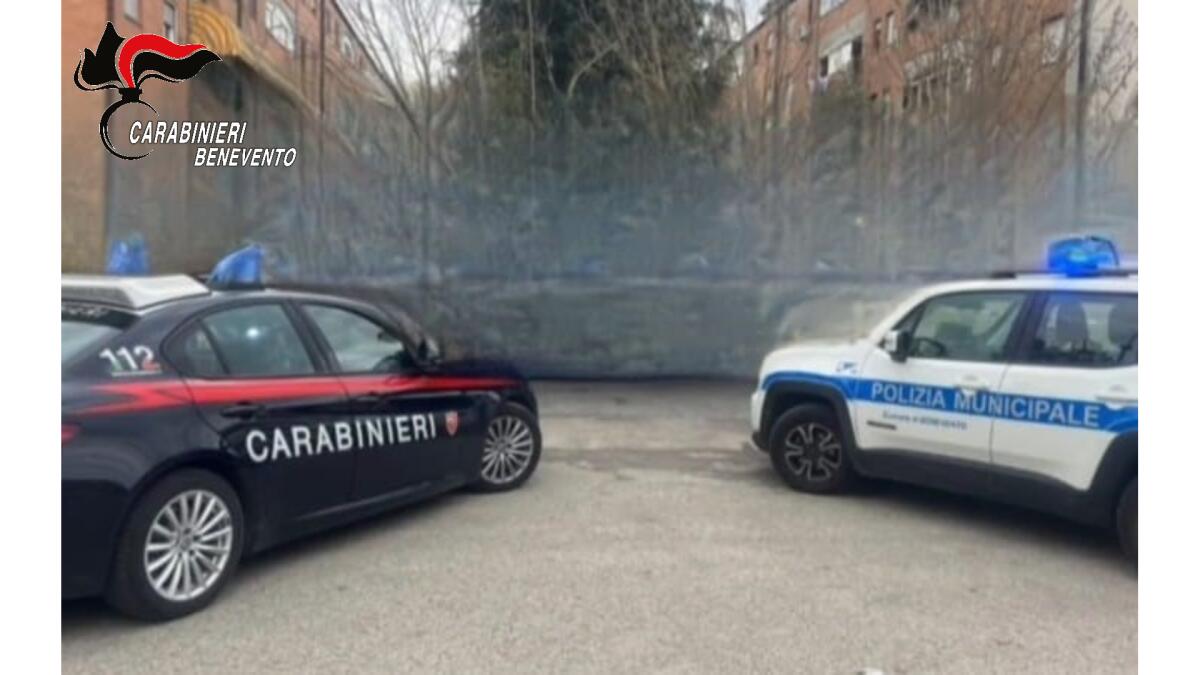 Benevento. Controlli congiunti dei Carabinieri e della Polizia Municipale - 