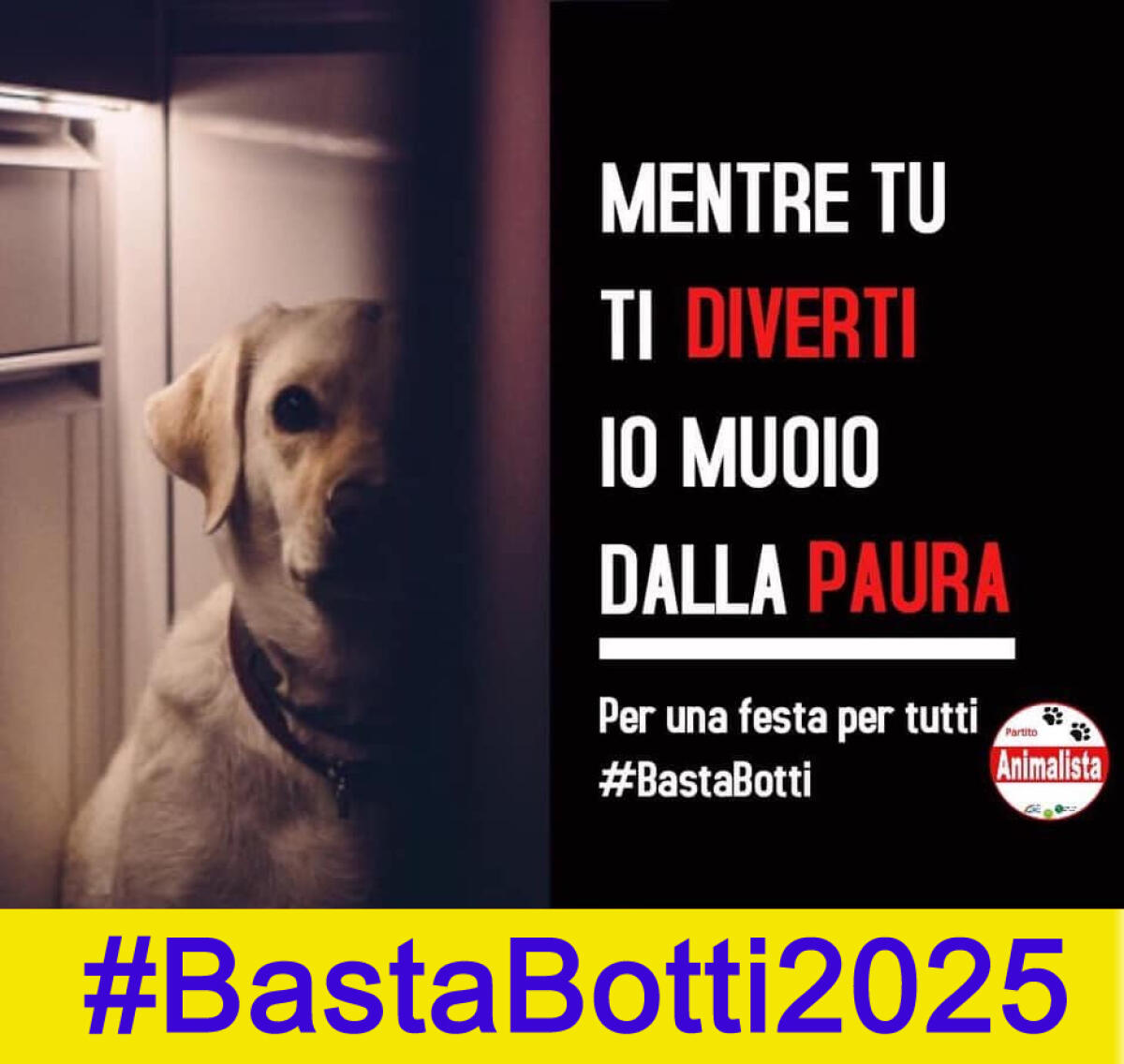 Prefetture adottino divieto uso fuochi e botti per le festività natalizie. - 
