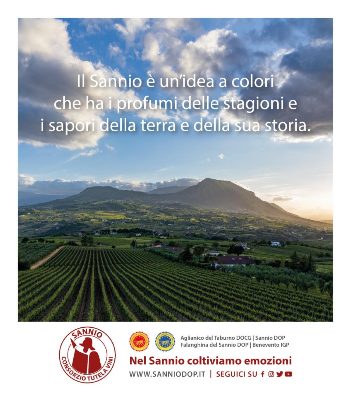 Il Sannio Consorzio Tutela Vini promuove la sostenibilità del settore vitivinicolo - 