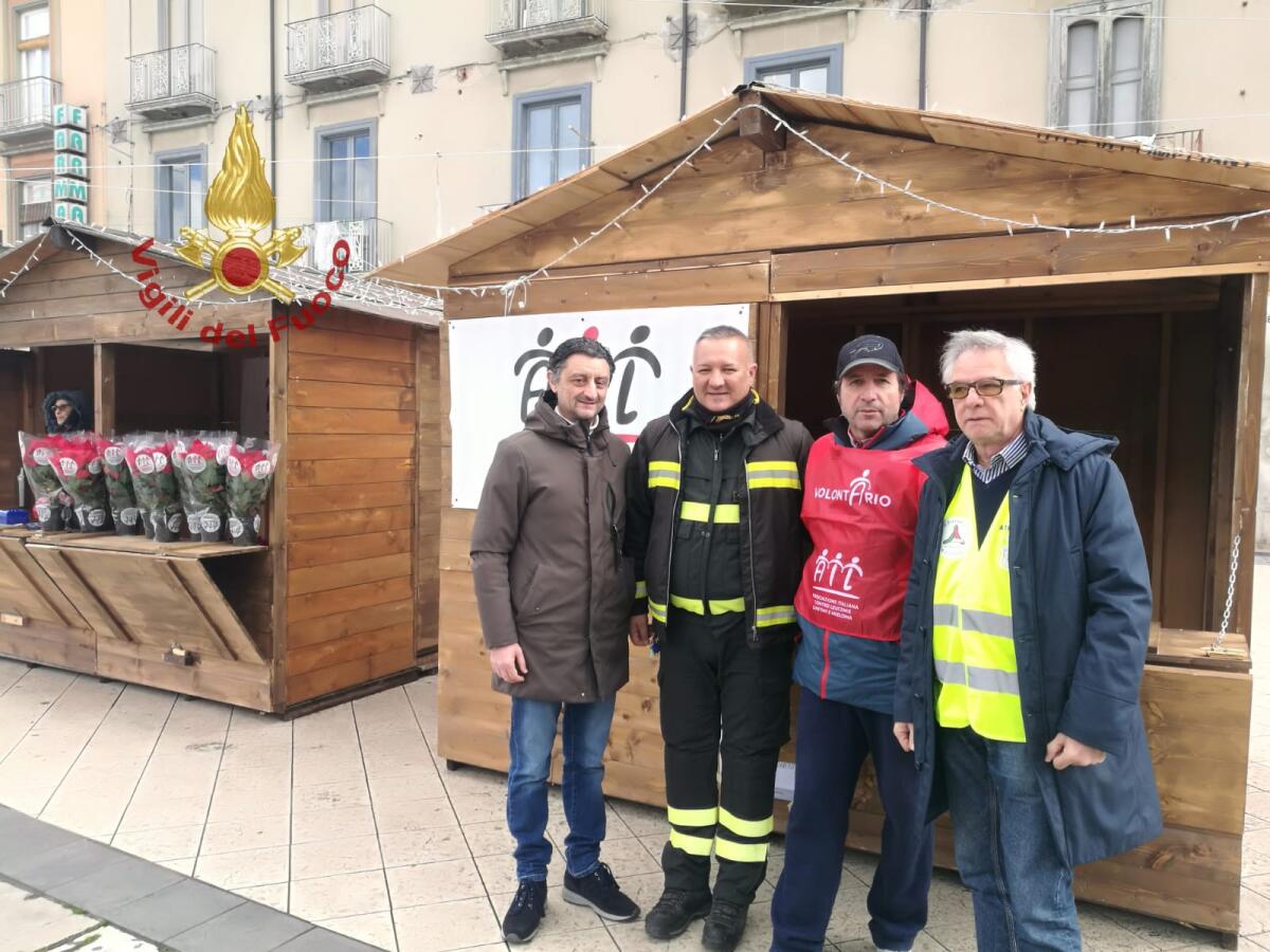 Vigili del fuoco e Ail per la vendita di Stelle di Natale. - 