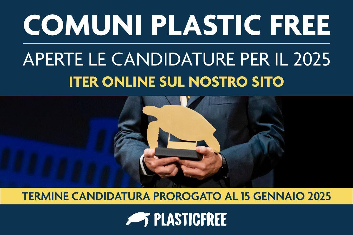 Campania: Proroga fino al 15 gennaio per le candidature per divenire “Comune Plastic Free 2025”. - 