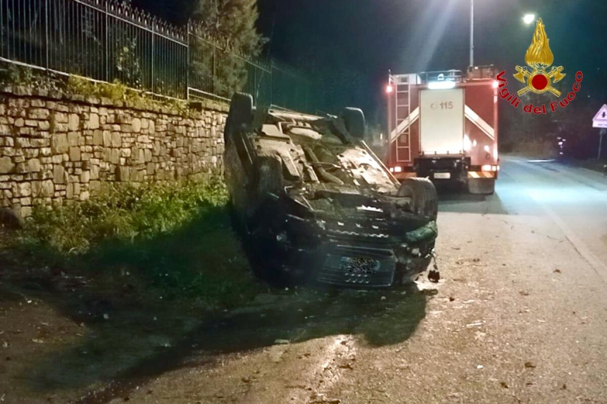 Impatta contro un cinghiale e si capovolge con l'auto, ferita una 45enne - 