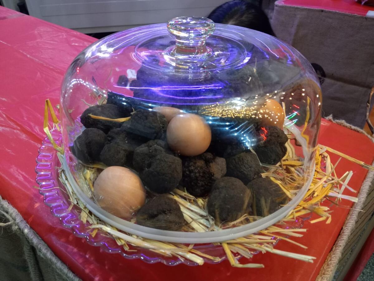 Cervinara. Sagra del Tartufo, Tangredi ringrazia gli organizzatori - 