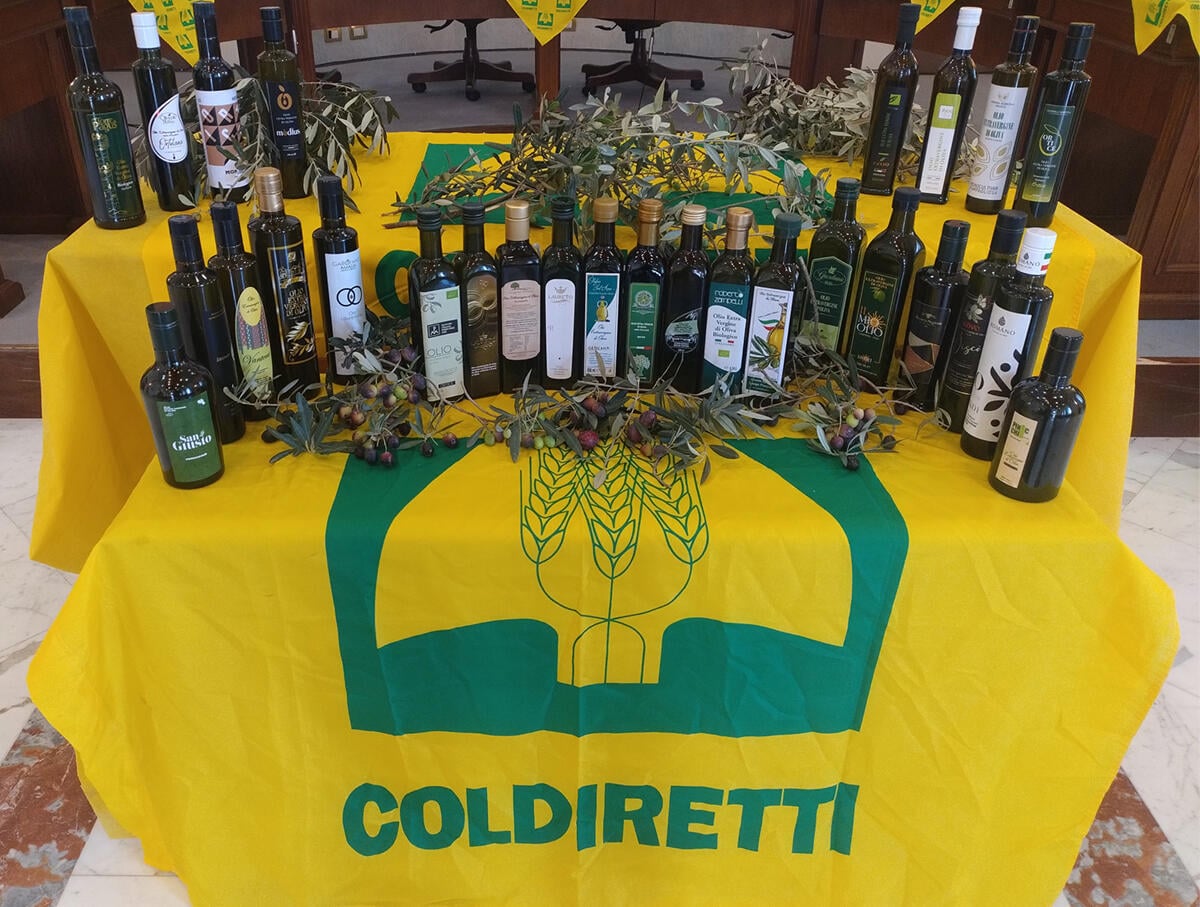 L’olio della Campania punta in alto: presentato il piano olivicolo regionale. - 