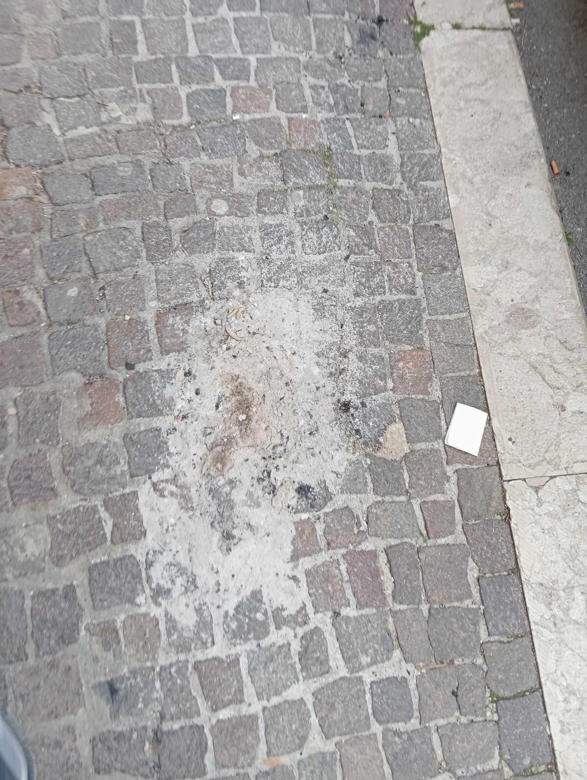 Feci dei cani sui marciapiedi, e i residenti sono costretti a pulire. - 