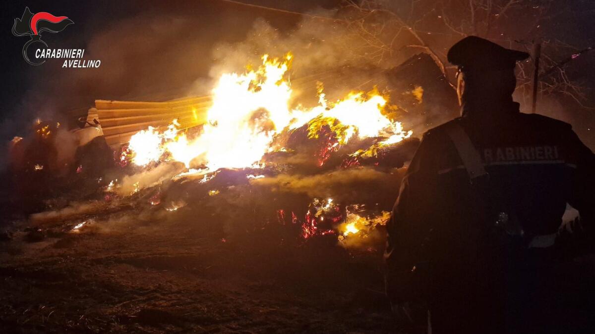 Incendio in un'azienda agricola ad Andretta, morti 20 ovini. - 