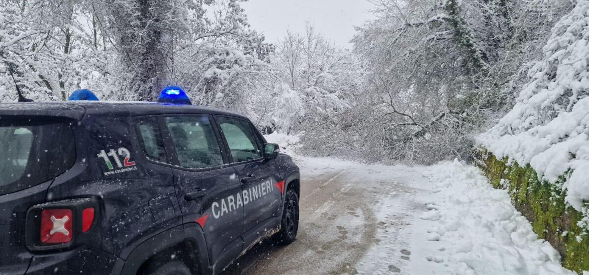 Andreatta. Chiusa Sp 129 per caduta di alberi - 