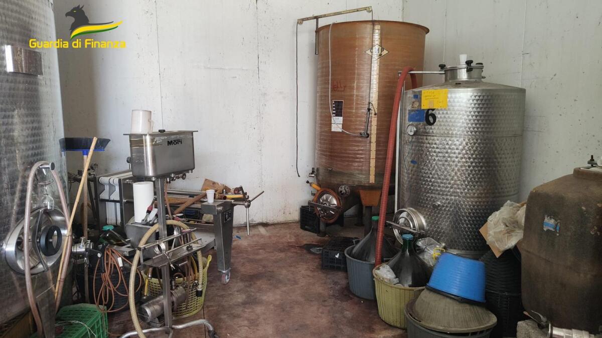 Sequestrati 35 mila litri di vino con indicazioni IGT false - 