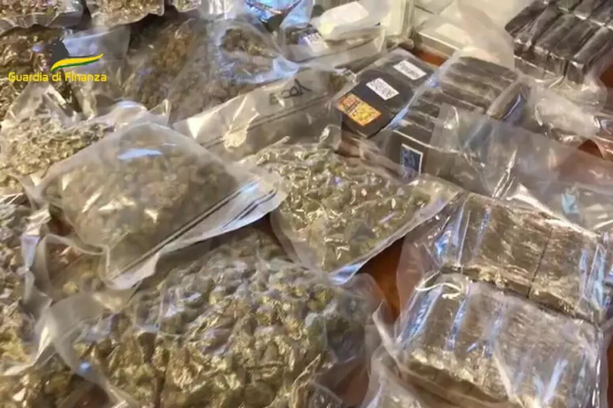 Importavano ingenti quantitativi di cocaina e hashish dalla Spagna, 12 arresti - 