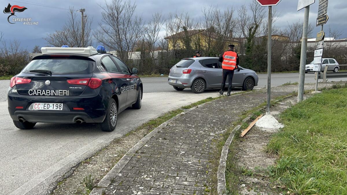 Carabinieri sventano furto ai danni di un'azienda di Venticano. - 