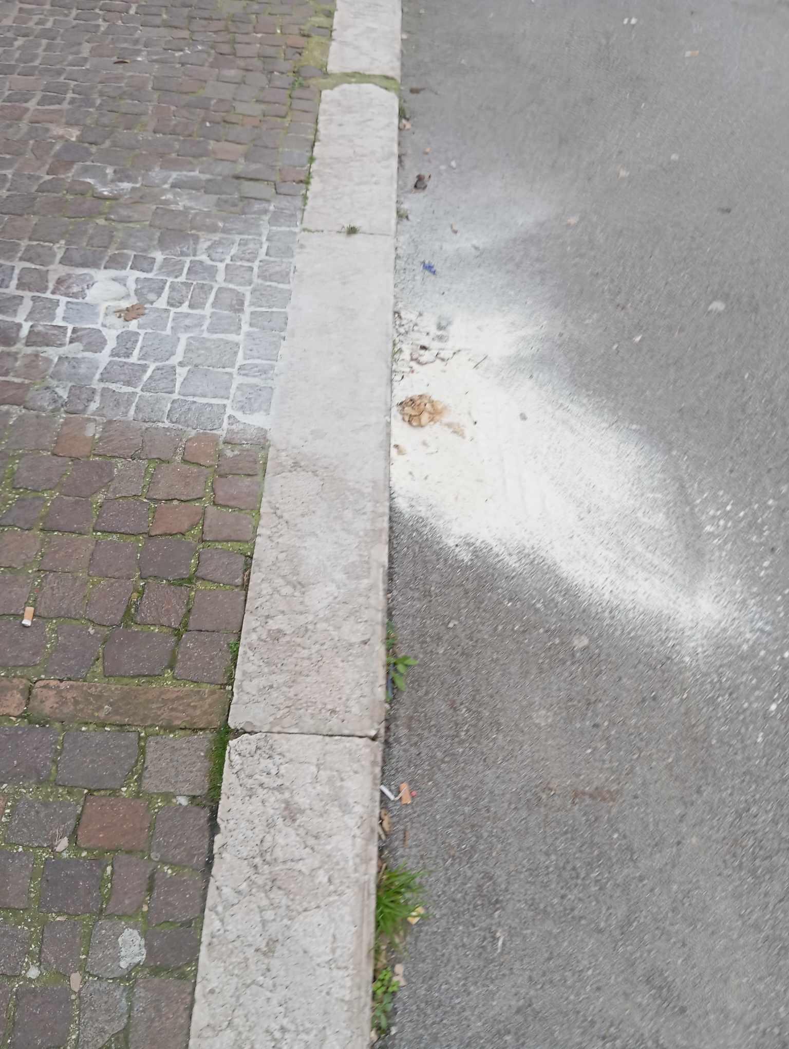 Feci dei cani sui marciapiedi, e i residenti sono costretti a pulire.