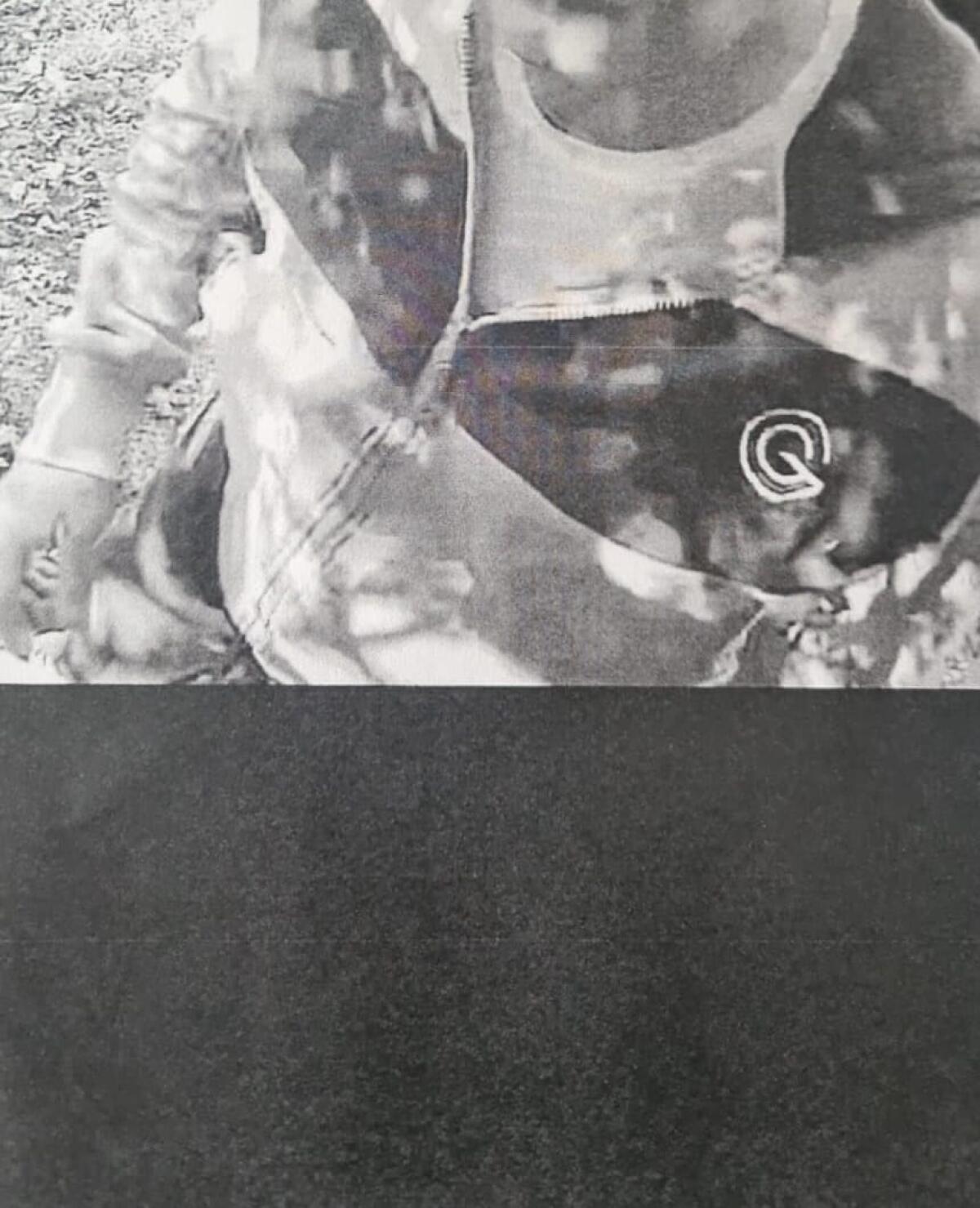 Limoni saccheggiati in agrumeto: “foto-trappola” lo incastra. - 