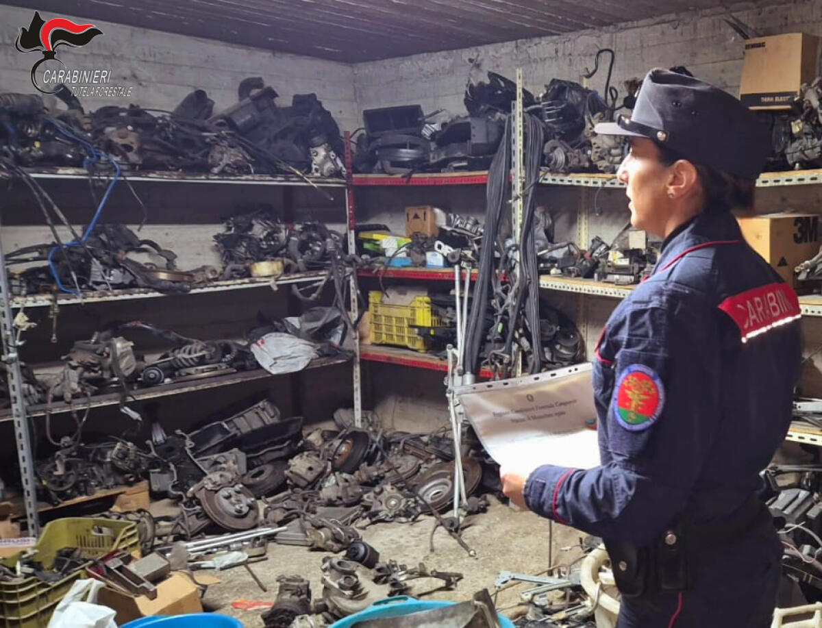 Controlli autodemolitori, Carabinieri sequestrano un’azienda e denunciano il titolare per violazioni ambientali - 