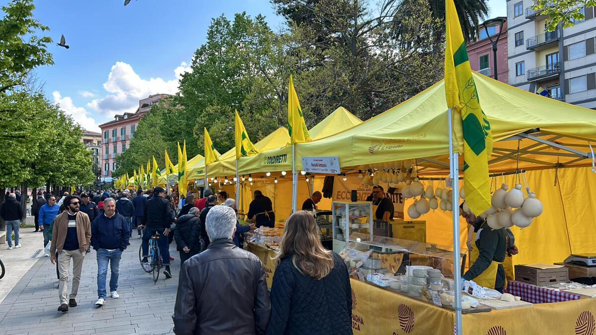 Cresce il biologico nei mercati contadini: la Regione Campania sul podio. - 