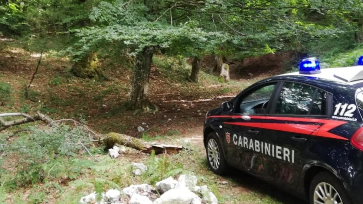 Carabinieri salvano due escursionisti irlandesi dispersi sul Monte Terminio - 