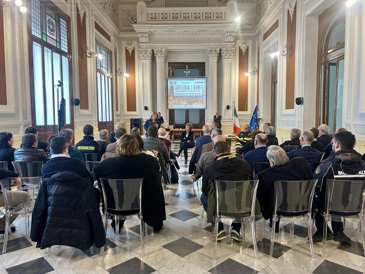 Incendi boschivi, riunione in Prefettura per definire governance congiunta - 