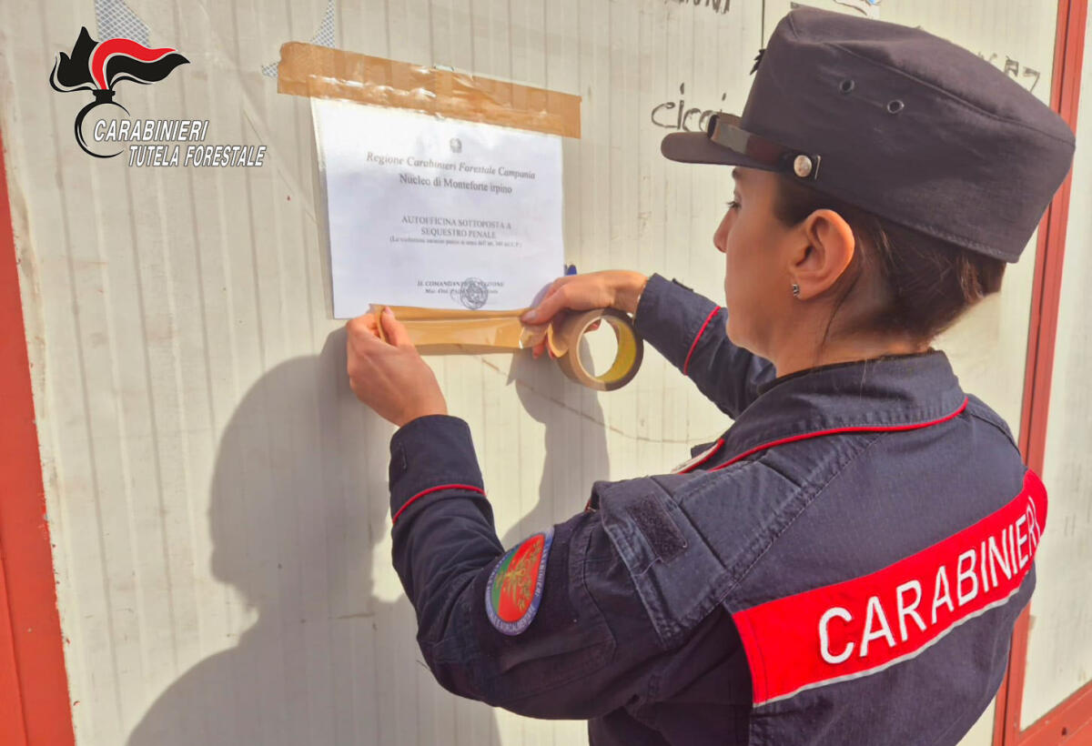 Baiano. Carabinieri sequestrano azienda e denunciano proprietario - 