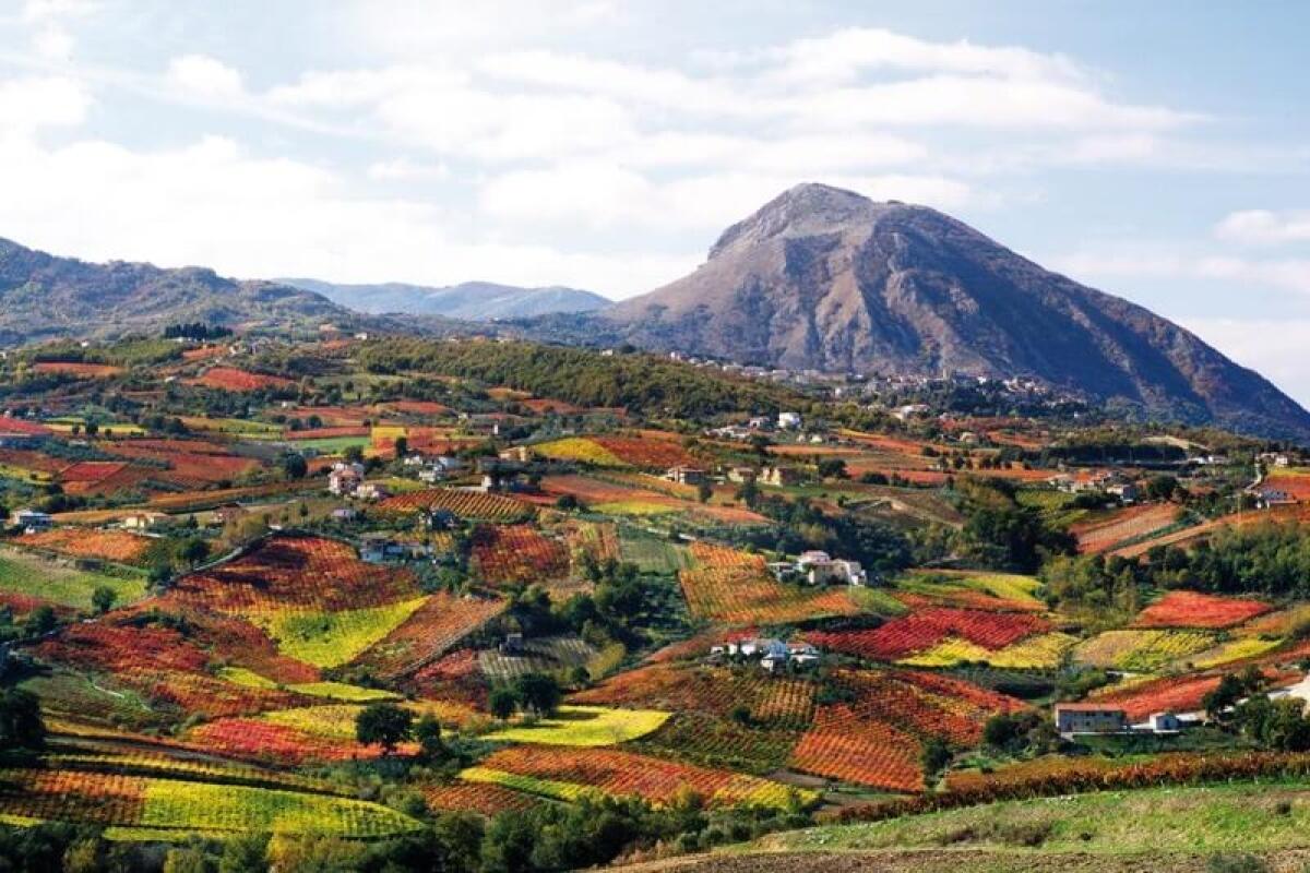 L’Associazione ‘Aglianico del Taburno’ festeggia la donna con un’asta benefica e un focus sul loro ruolo nel mondo del vino - 