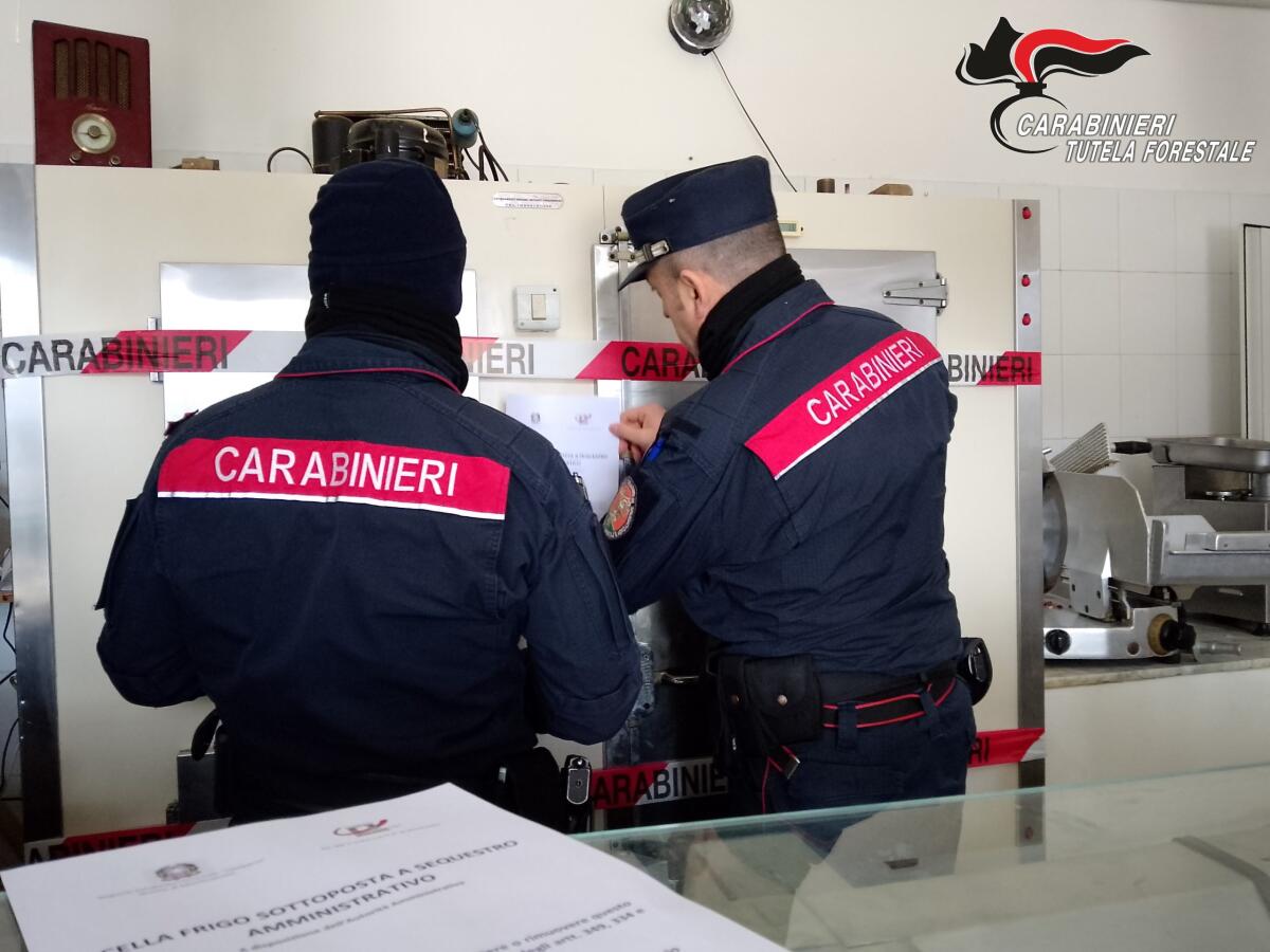 Chiusa per gravi carenze igienico sanitarie una macelleria di Arpaise - 