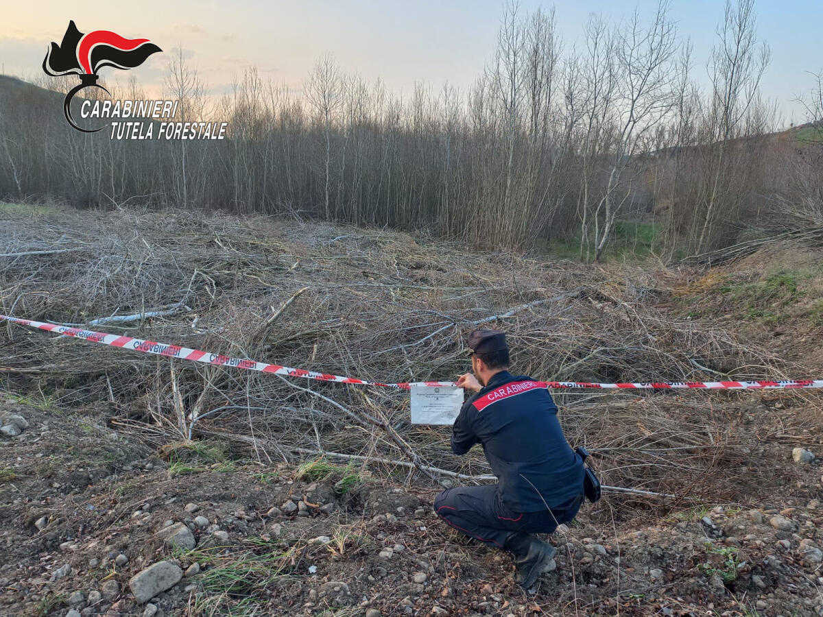  Ariano Irpino. I Carabinieri sequestrano un’area boschiva di 4.000 mq. - 