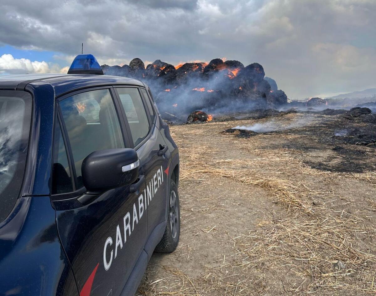 Incendio di rotoballe a Sturno, indagano i Carabinieri - 