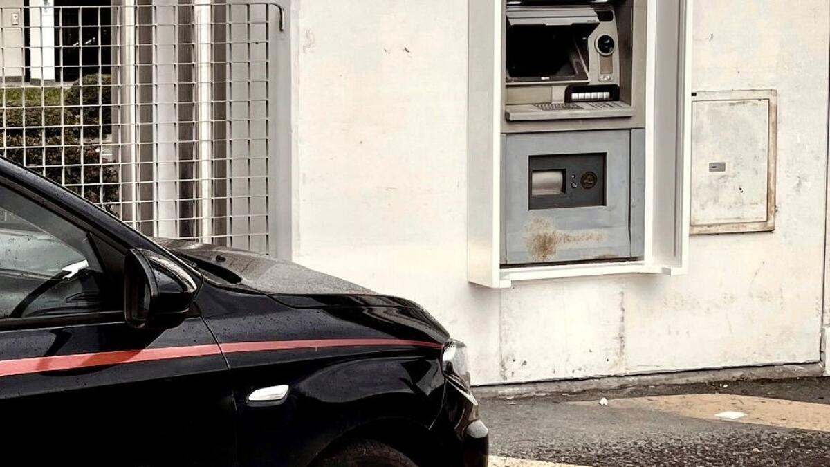 Furto con destrezza e truffa on line, denunciate due persone. - 