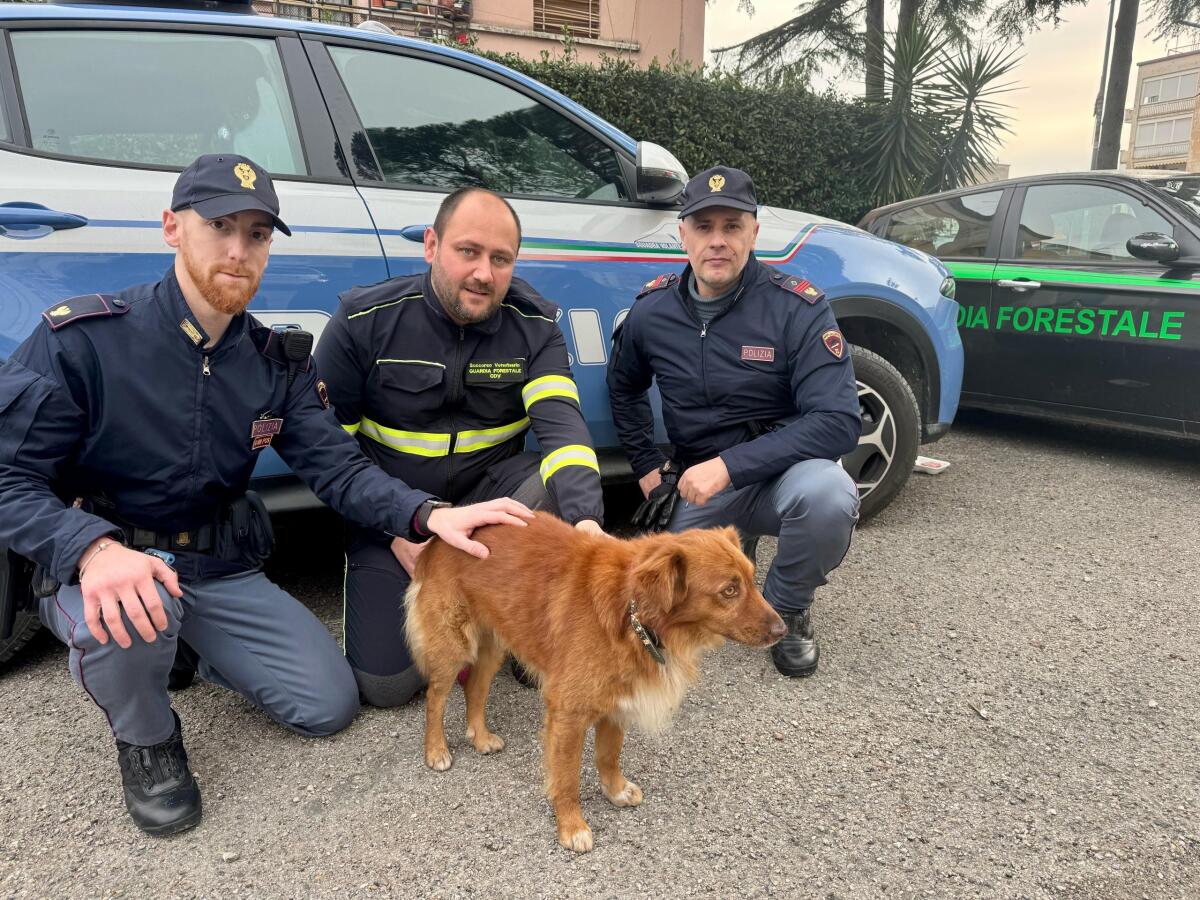 Cane messo in salvo da due poliziotti - 