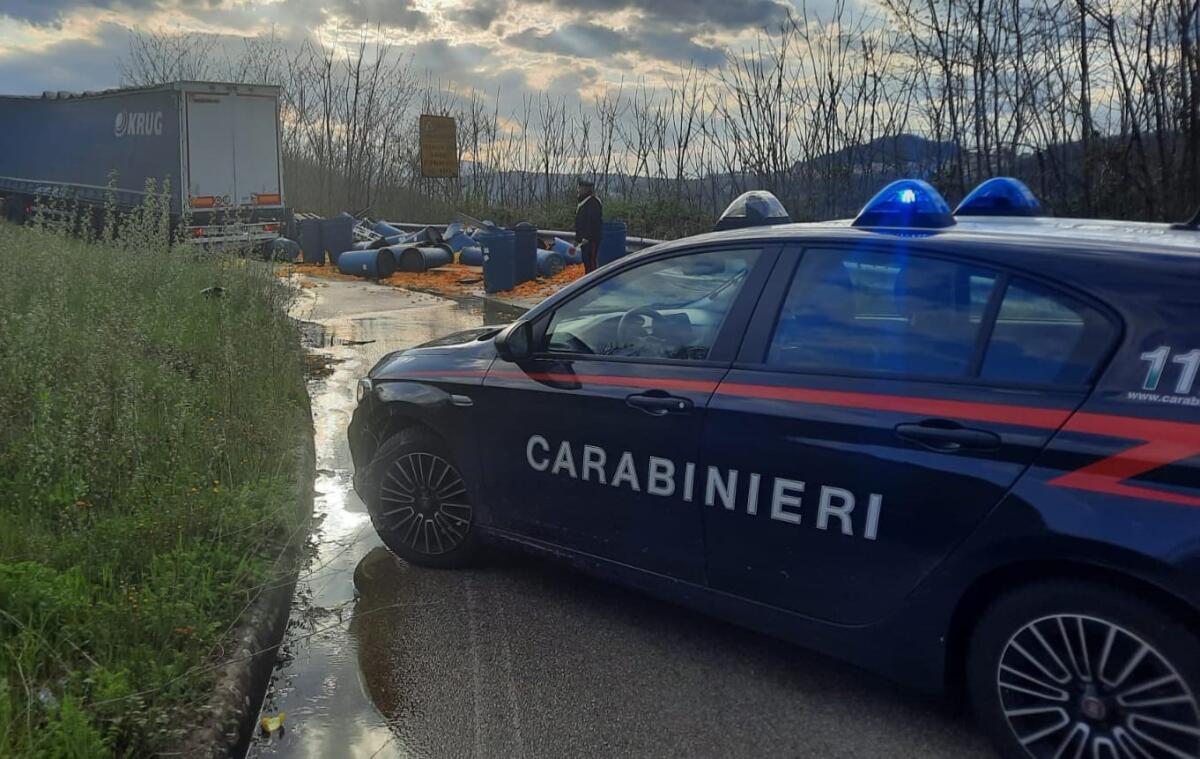 Autocarro perde il carico sulla SP 261: intervengono i Carabinieri - 