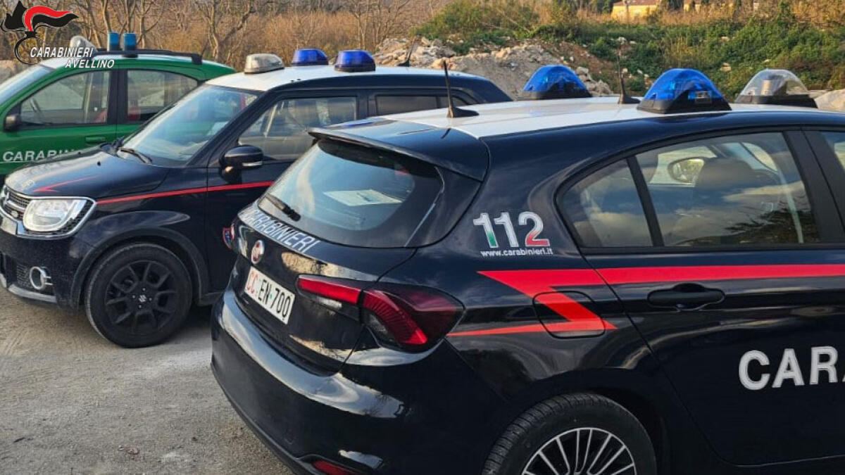 Si oppone alla confisca di diversi capi di bestiame vaganti, arrestato un 71enne - 