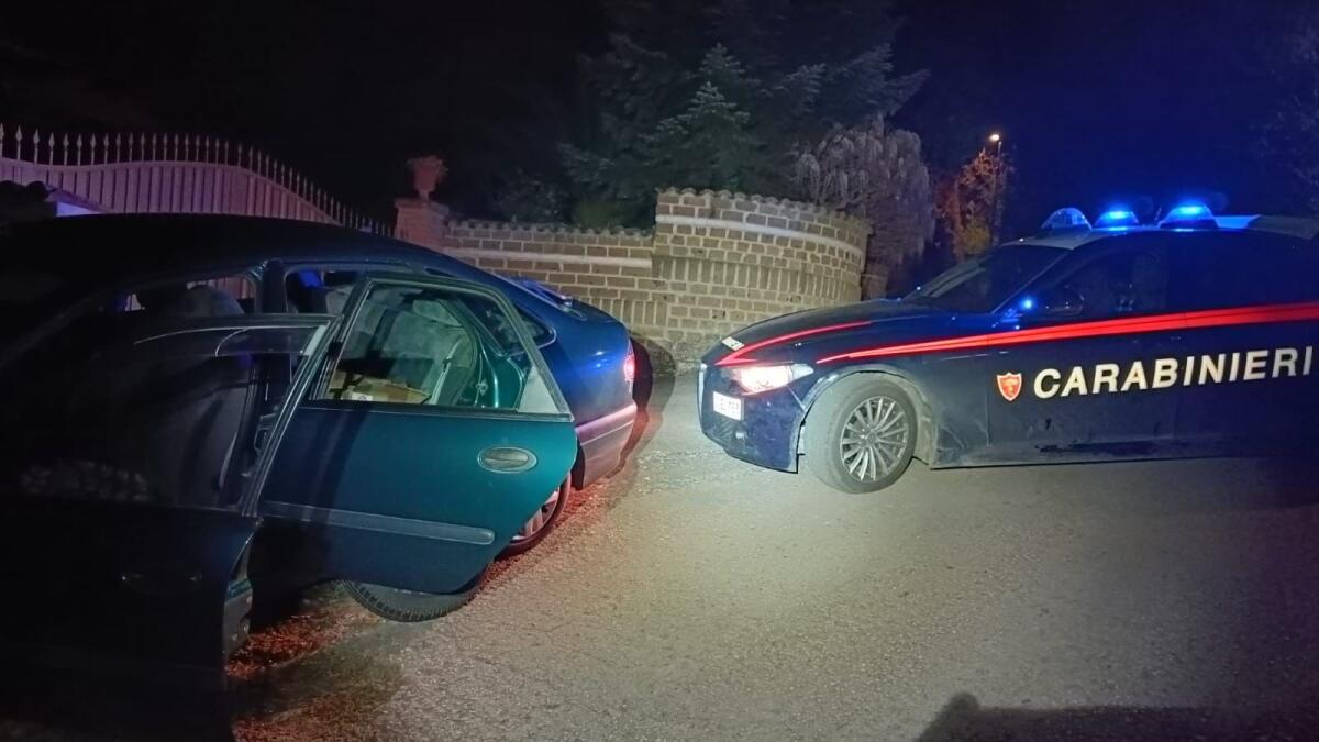 In Irpinia i Carabinieri sventano due furti - 