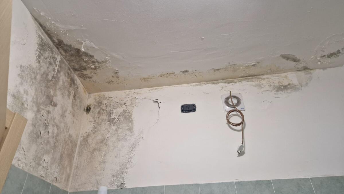 Avellino. Alloggi comunali di via De Napoli consegnati a fine estate, già con infiltrazioni e muffa - 