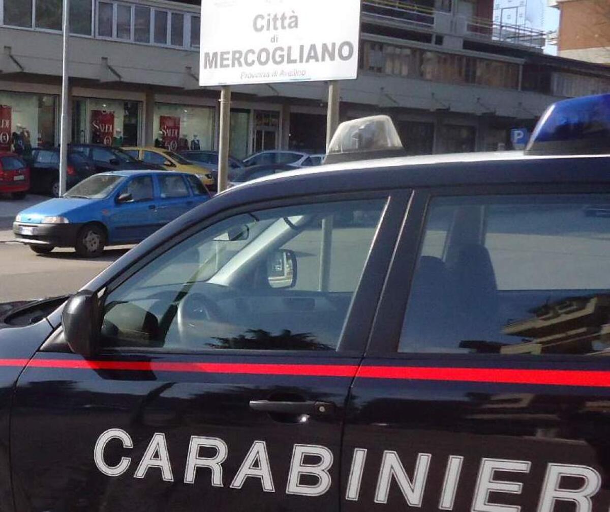 Danneggia cassonetti rifiuti e aggredisce i Carabinieri, denunciato un extracomunitario. - 
