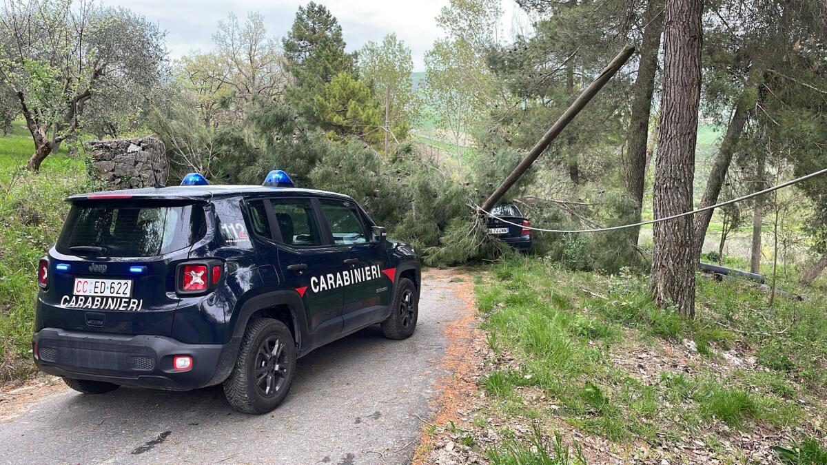 Ramo cade su autovettura, chiusa strada a Villanova del Battista - 