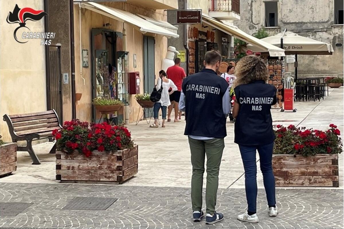 10 strutture ricettive su 14 controllate dai Nas non sono regolari. - 