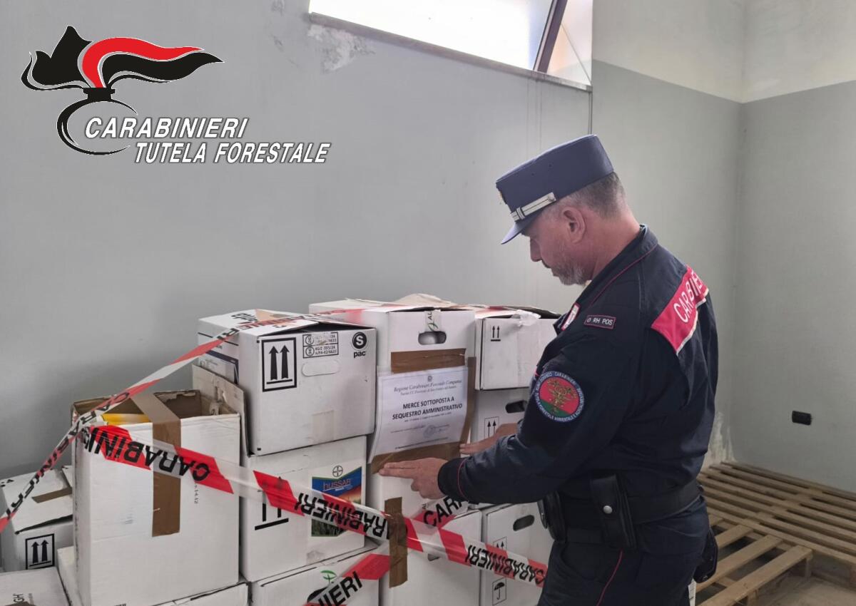 Vendita di fitofarmaci, sequestro in azienda agricola di San Giorgo del Sannio. - 