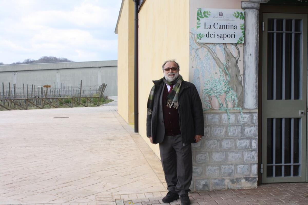 Ciambriello: “Decreto sicurezza confuso irrazionale e con sproporzioni” - 