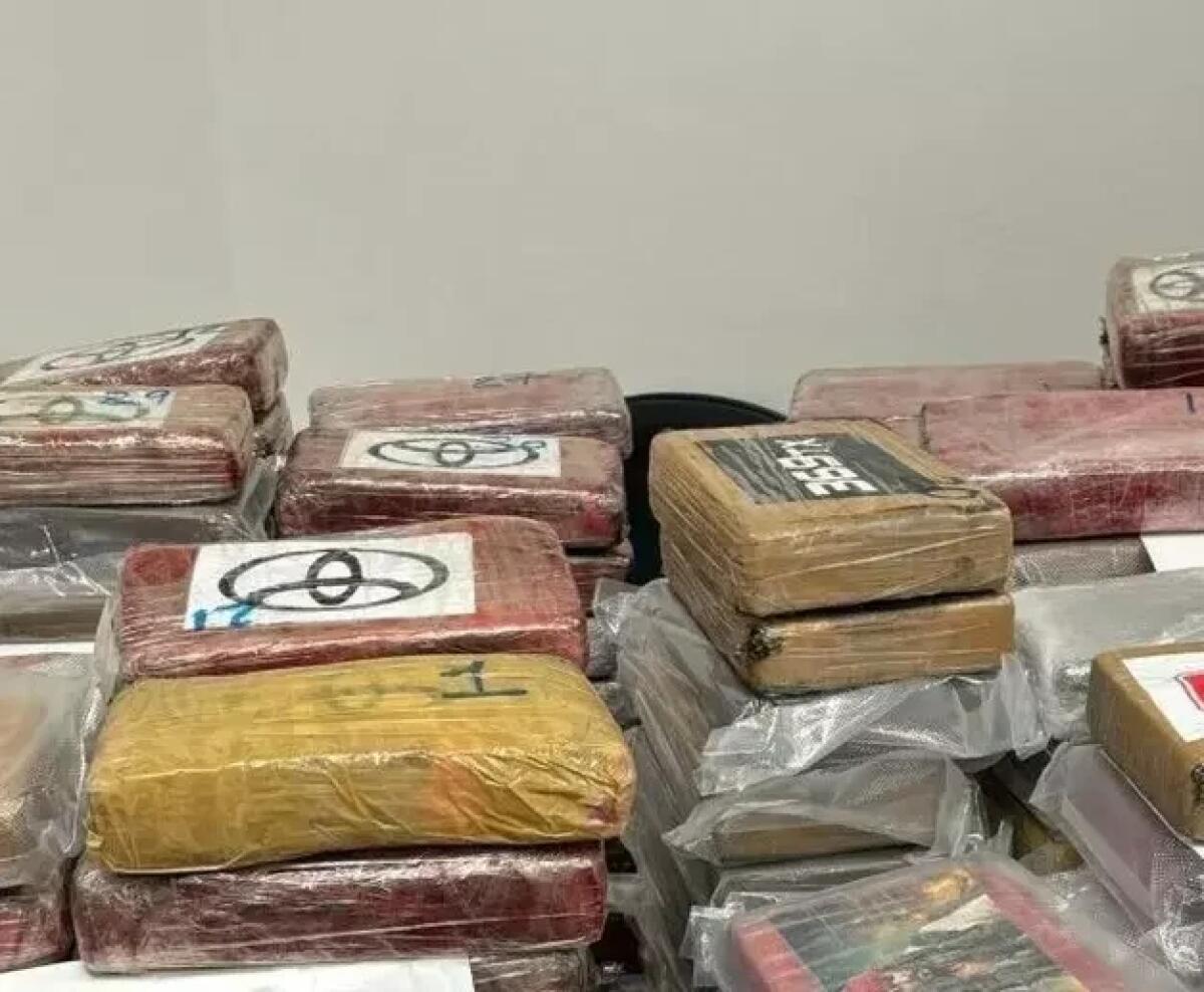 Sequestrato carico di cocaina, valore 5 milioni di euro - 