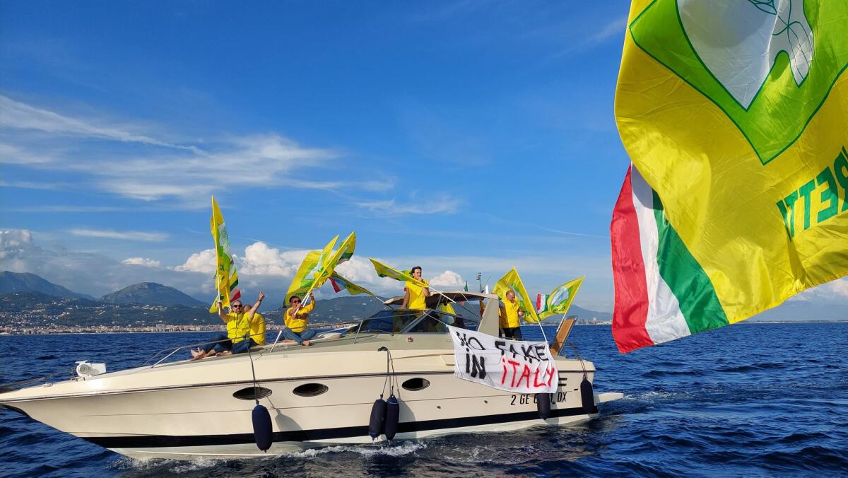 Uva da tavola e verdura dall'Africa, blitz di Coldiretti Campania al porto di Salerno. - 