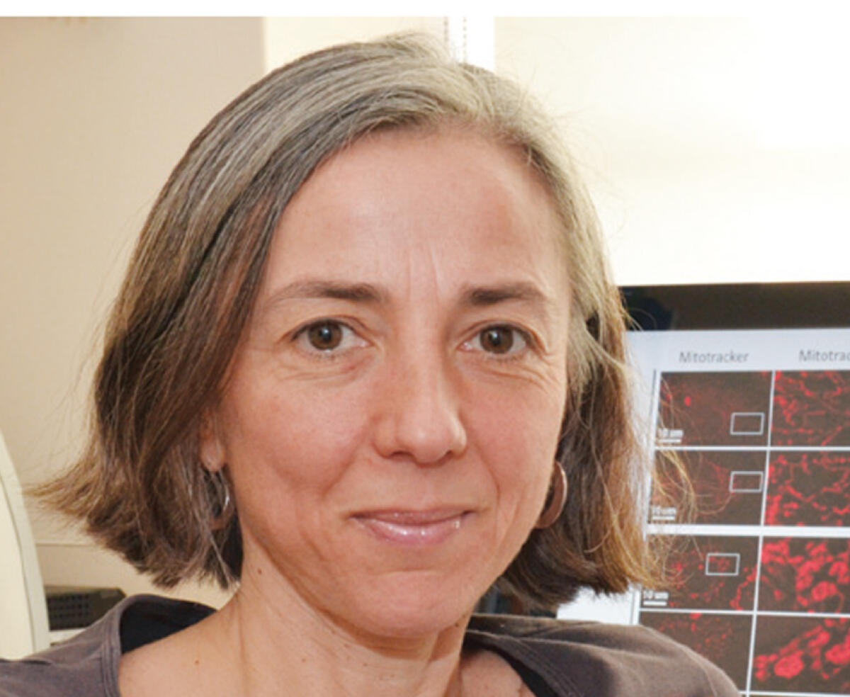 Antonella Spinazzola e i progressi della medicina mitocondriale in un seminario a Biogem - 